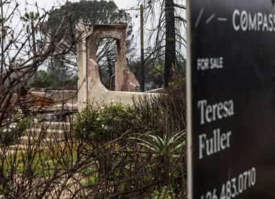 אלטדינה למכירה: יזמים רוכשים מאות מגרשים שרופים במהירות שיא