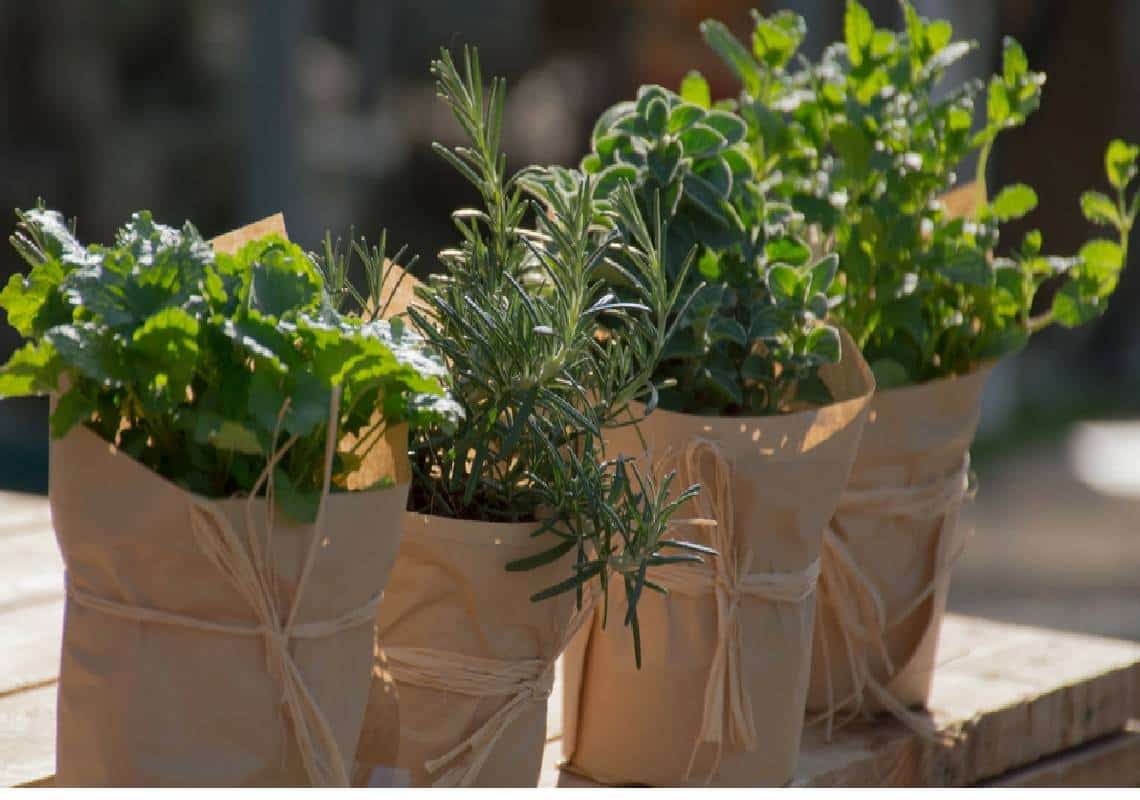 ארגון הבריאות העולמי מכנה אותו "הרוצח השקט": כך תוכלו להפחית את לחץ הדם 