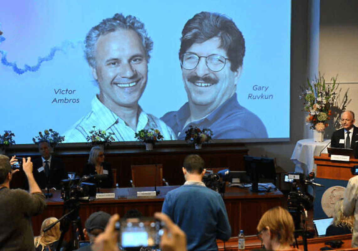 פרס נובל ברפואה הוענק לשני מדענים אמריקאים על גילוי מיקרו-RNA