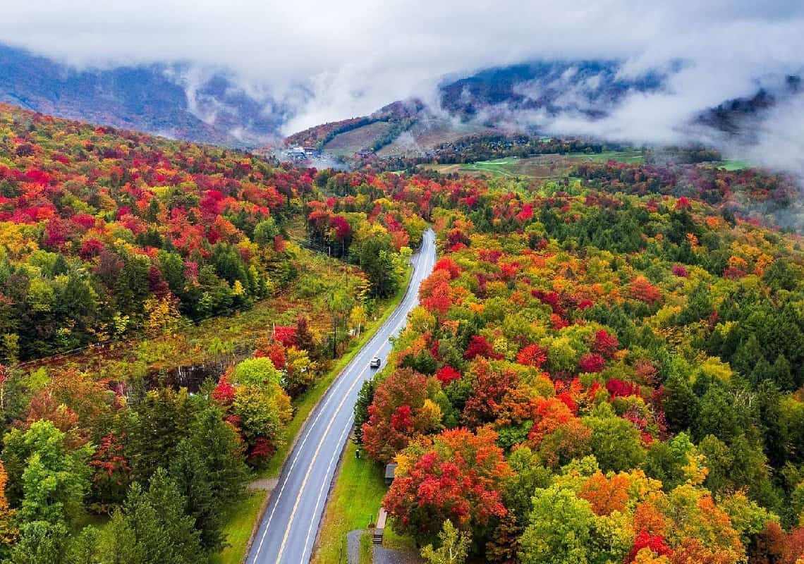אלה מדינות ארה"ב שבהן השכר החציוני מזנק מאז 2019