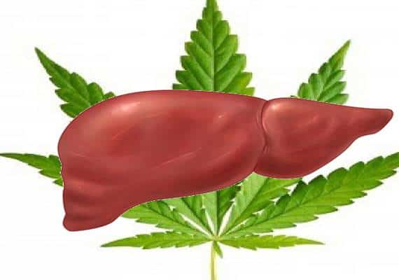 אם אתם אוהבים לשתות אלכוהול כדאי שתוסיפו גם מנה ירוקה ורצוי שתהיה קבועה