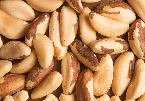 "רק דברים טובים": היתרונות הבריאותיים הגלומים באגוזי ברזיל