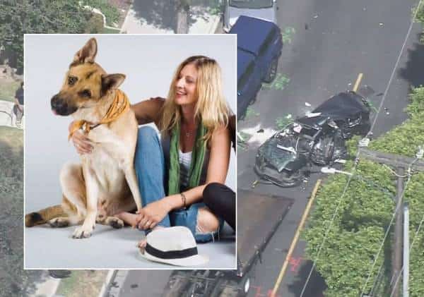 אירוע קשה במהלך מרדף משטרתי במחוז לוס אנג'לס: הרוגה עם חמשת כלביה