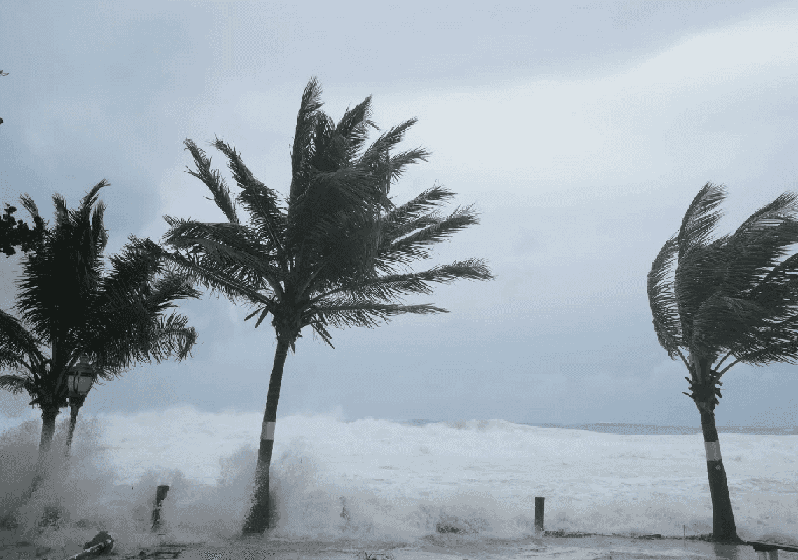 הוריקן ראשון לעונה: טקסס נפגעה מהסופה 'בריל' – מאות אלפים ללא חשמל 