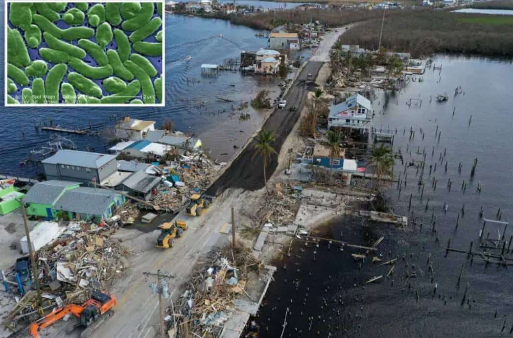 חיידקים אוכלי בשר מדביקים קהילות שנהרסו על ידי הוריקן איאן‏ ‏הוריקן 