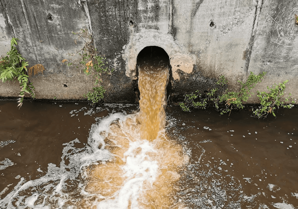 האומיקרון זוהה במי השפכים בקליפורניה | המושל ניוסם: "הוא נמצא בכל מקום"