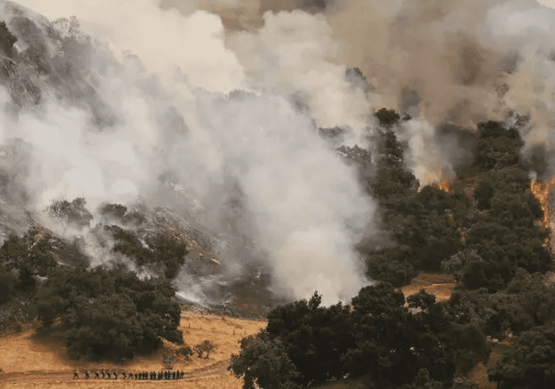 שריפה גדולה מתפשטת בדרום קליפורניה: החווה של מייקל ג'קסון בסכנה