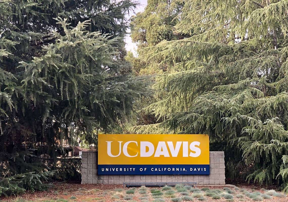 אוניברסיטה בקליפורניה משלמת לסטודנטים כדי שלא ישתתפו בחגיגות ה"ספרינג ברייק"