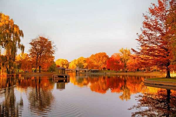 אומרים להתראות לקיץ: בואו לגלות פסטיבל שלם שחוגג את בוא הסתיו בבוסטון