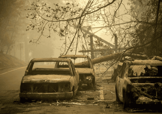 הכבאים לא נתקלו במצב כזה: 25 הרוגים בשריפות בקליפורניה