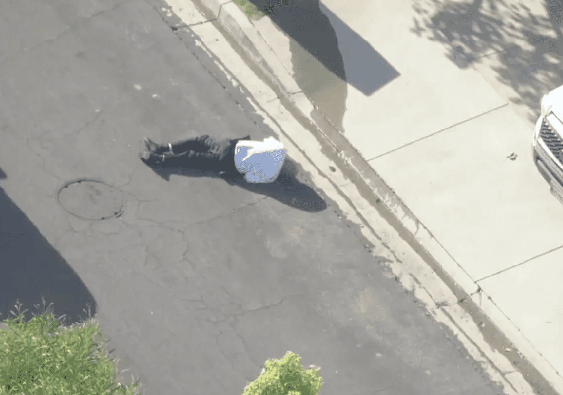 צפו: שוטר מלוס אנג'לס התמוטט לאחר שנחיל דבורים עצבני תקף אותו 