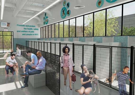 ניו יורק תקים מקלט חדש לבעל חיים בעלות 60 מיליון דולרים 