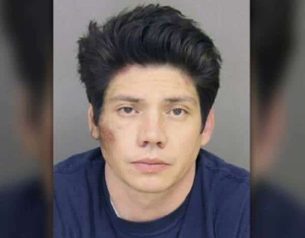 בגלל סיגריה: דרס למוות אם הרה שגוננה על ילדיה