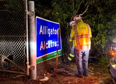 אלקטרז התנינים - מחנה המעצר המוקף ביצות ותנינים בפלורידה, קולט את האסירים הראשונים