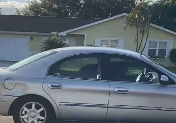 ארבע על ארבע: כלב נמצא "נוהג" ברכב בפלורידה