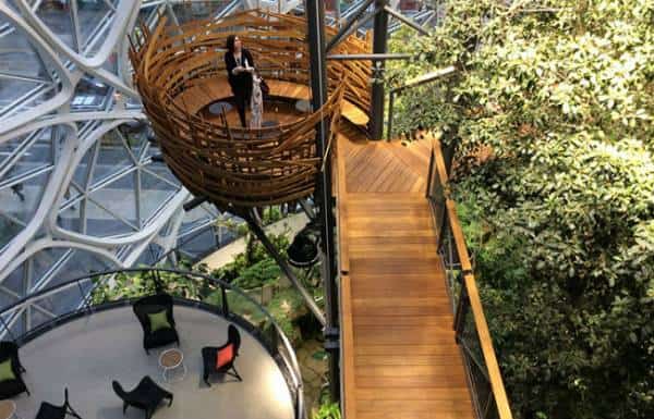 ג'ונגל עירוני: אין צורך להרחיק לאמזונס כדי לבקר ביער גשם, אם אפשר להגיע לספירה של אמזון