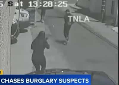 תיעוד מלוס אנג'לס: האמא רדפה אחרי הפורצים ושברה את חלון רכבם