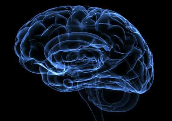 החוקרים שוקלים: מחקר מצא כי המוח מתכווץ ב-5 אחוז במהלך ההיריון