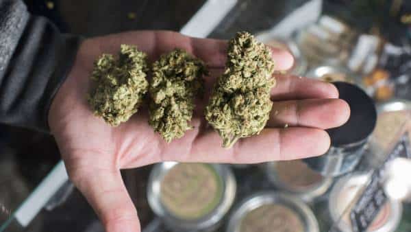 זוהי תופעת הלוואי המפתיעה של לגליזציית המריחואנה בקליפורניה