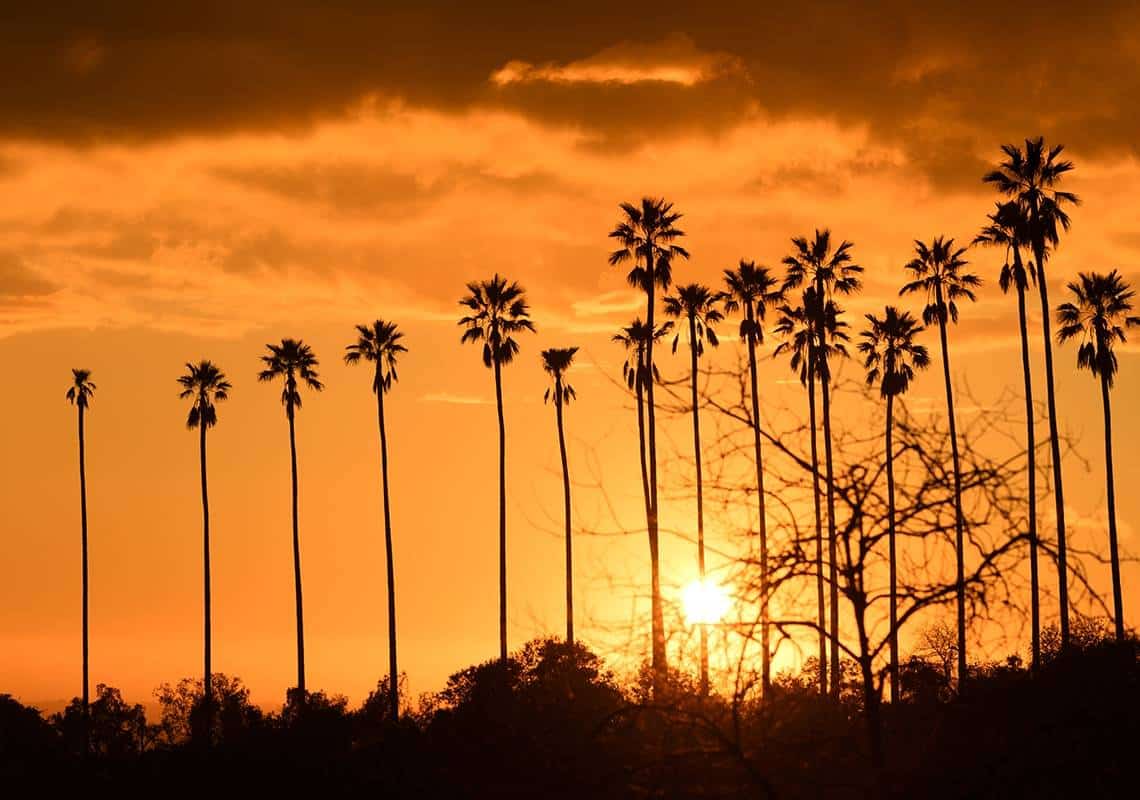 תושבי קליפורניה מתבקשים להיערך: גל חום בדרך למדינה, חשש לשריפות והפסקות חשמל