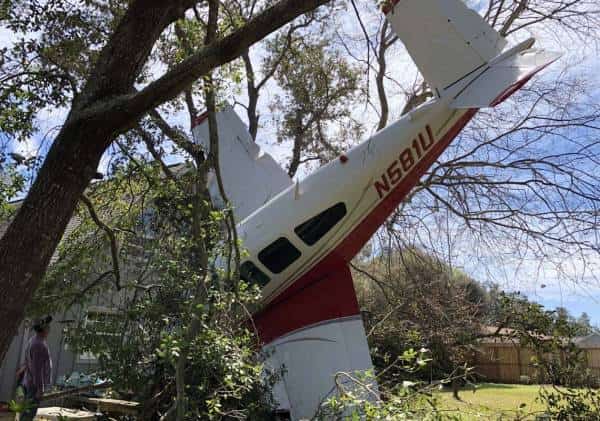 נס בפלורידה: כך ניצלו אב, בנו וכלב המשפחה מהתרסקות מטוס 