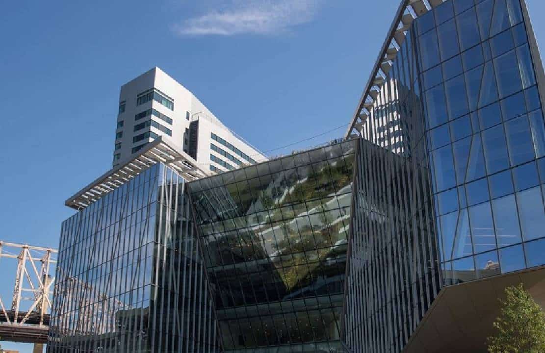 הקשרים הכלכליים בין ספונסרית חמאס והאוניברסיטאות האמריקאיות נחשפים - אולי זו הסיבה להטיה האנטי-ישראלית?