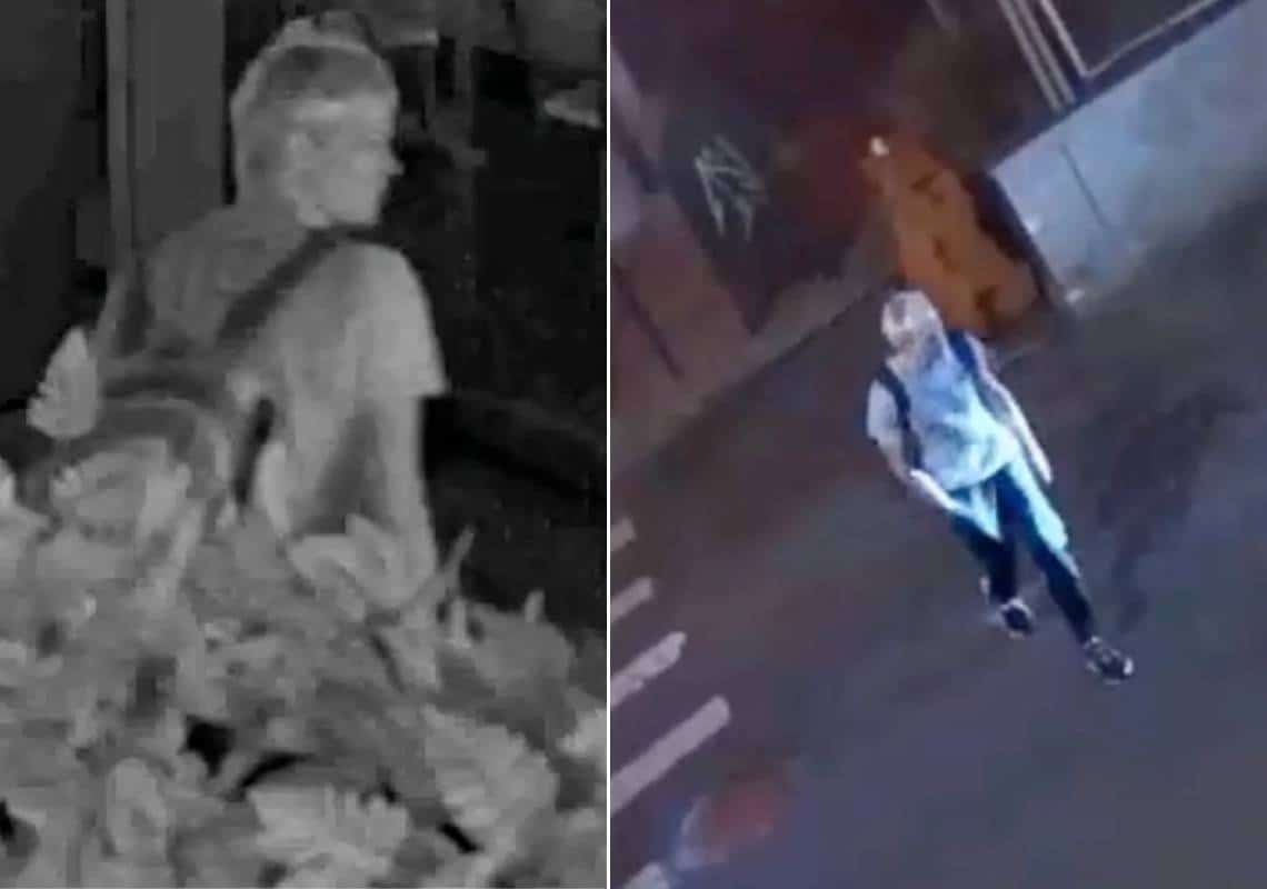 בתוך כשעתיים: שבע נשים הותקפו במנהטן - מצוד נרחב אחר החשוד