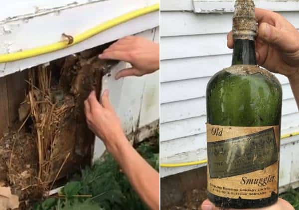 בני זוג מניו יורק רכשו בית שנבנה בתקופת היובש: עבודות השיפוץ חשפו ממצאים מפתיעים