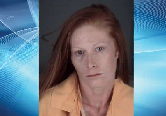 אם מפלורידה נעלה את 2 ילדיה במכונית והלכה לעשות "שופינג"