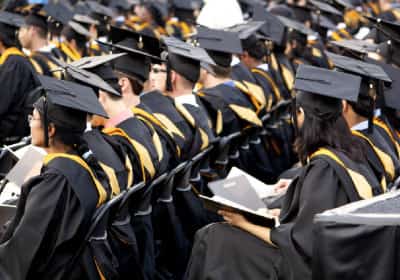 סכומים אדירים: סטודנטים זרים מכניסים עשרות מיליארדי דולרים לכלכלה האמריקאית