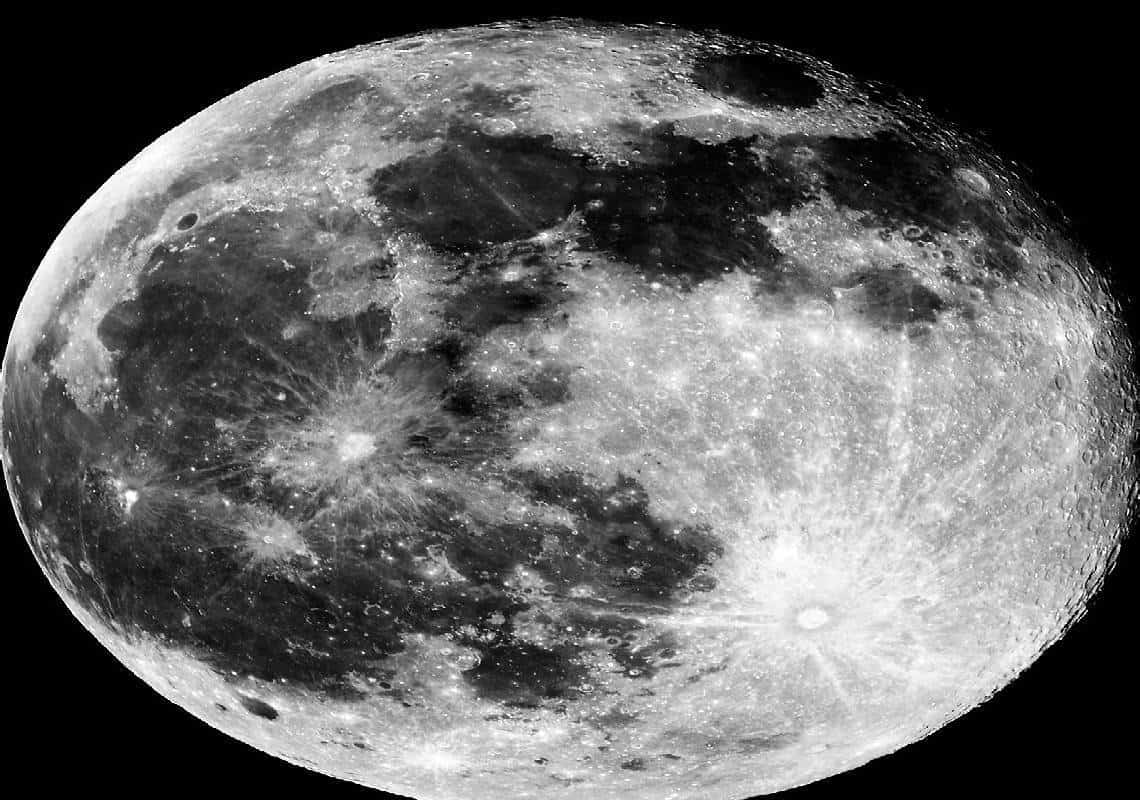 "כך נציל את העולם": מדענים מתכננים הקמת בנק זרע וביציות בעומק הירח דרך שיגור 6.7 מיליון דגימות של זנים לחלל