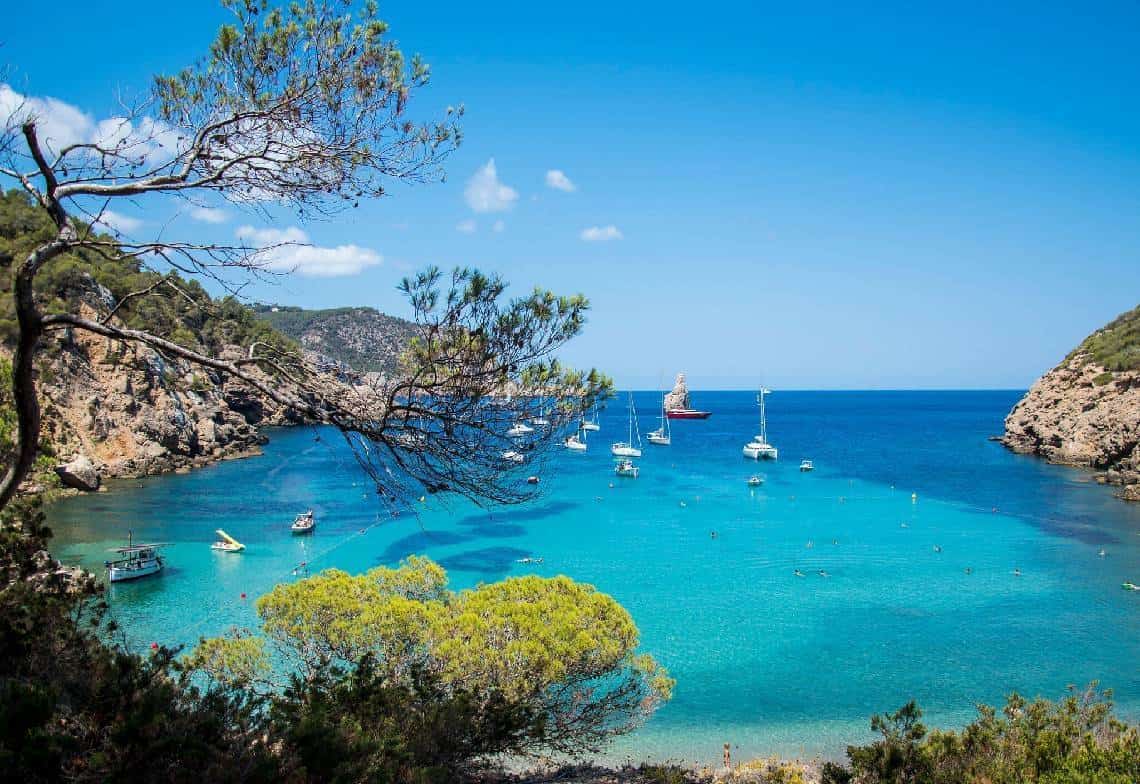 מחפשים את עבודת החלומות? "משטרת איביזה מחפשת זרים צעירים לחדור כ'סמויים' למסיבות ולהלשין לרשויות"