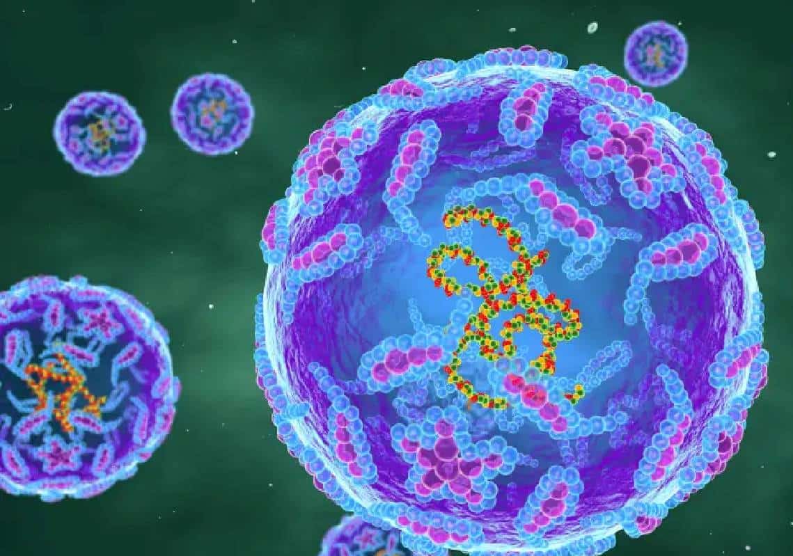 "סכנה מוחשית": מחלת הפוליו התגלתה במחוז עם האוכלוסיה היהודית הגדולה בארצות הברית