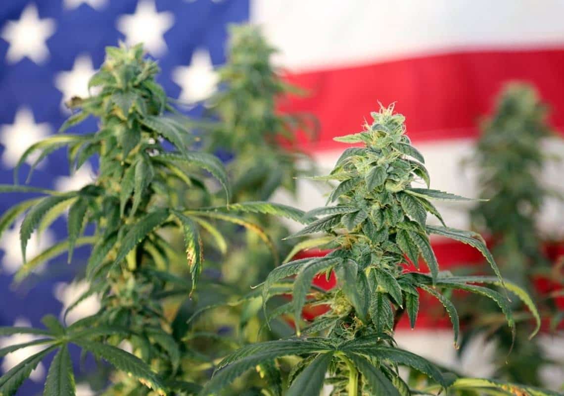 מבצע חדש בארה"ב: תתחסנו - ותקבלו ג'וינט בחינם