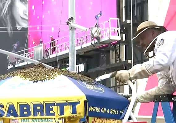 ניו יורק: מתקפת דבורים על דוכן נקניקיות בטיימס סקוור