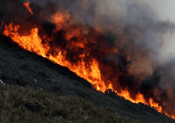 ח"י שריפות בקליפורניה - דליקת ענק התפרצה ביער הלאומי קליבלנד בדרום מחוז אורנג'