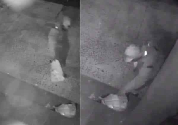 מול המצלמות: אלמוני ניסה להצית מרכז קהילתי יהודי במהלך יום כיפור