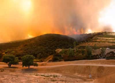 קליפורניה עולה באש: שריפת הענק שמאיימת לבלוע את פרברי לוס אנג'לס   