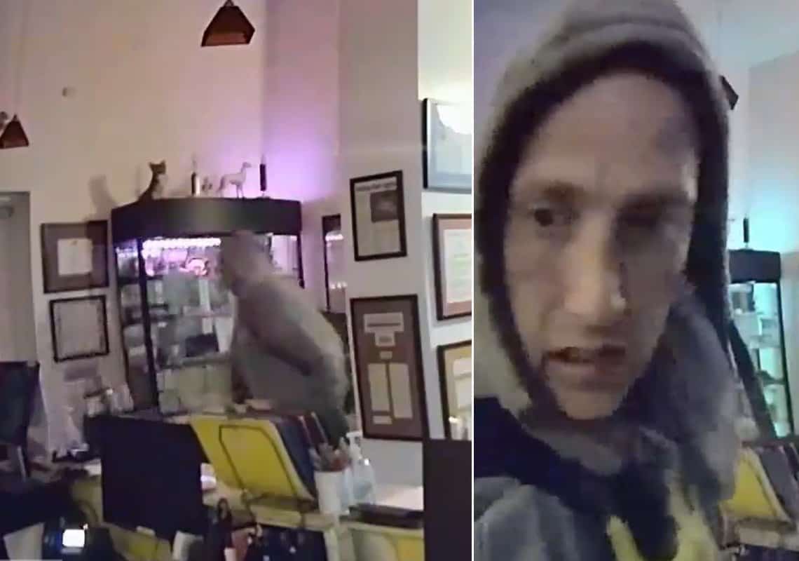 ניו יורק: אלמוני גנב 125 אלף דולר במזומן ממשרד במנהטן