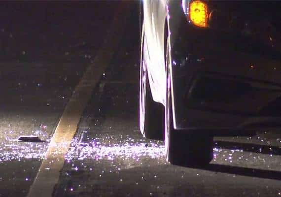 אוקלנד: אלמוני ירה לעבר מכונית נוסעת ופצע גבר וכלב