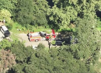 עץ ענק קרס על ילדים במחנה קיץ בוואלי: ילד נהרג ונוספים נפצעו