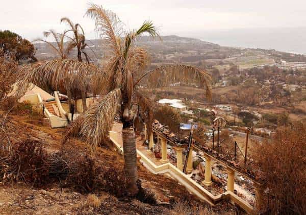 במליבו מעריכים: "שריפת וולסי" הרסה מאות מבנים, הנזק נאמד ביותר ממיליארד דולר
