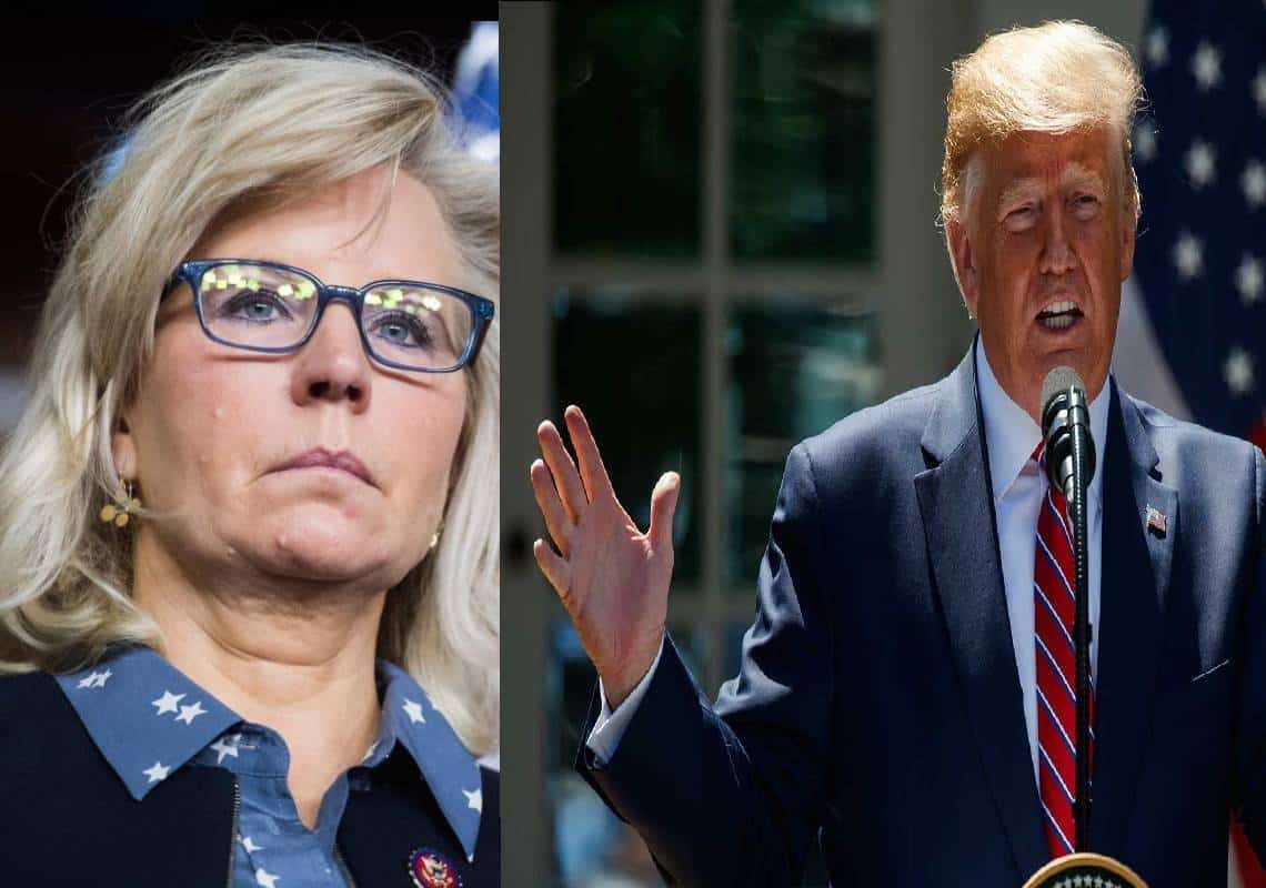 "שוטה מחרחרת מלחמות, את תביכי את המשפחה שלך": טראמפ תוקף את ליז צ'ייני שמבקשת להפוך לנשיאה ב-2024