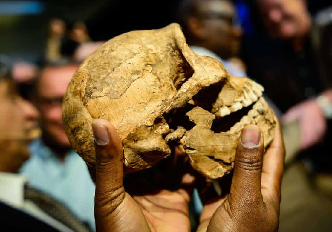 ‏מדענים מצאו את אתר הקבורה העתיק ביותר הידוע בעולם