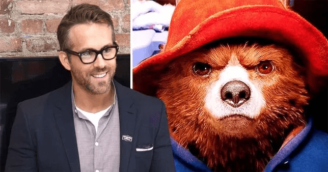 קרב הציוצים המוזר של ריאן ריינולדס והדוב פדינגטון