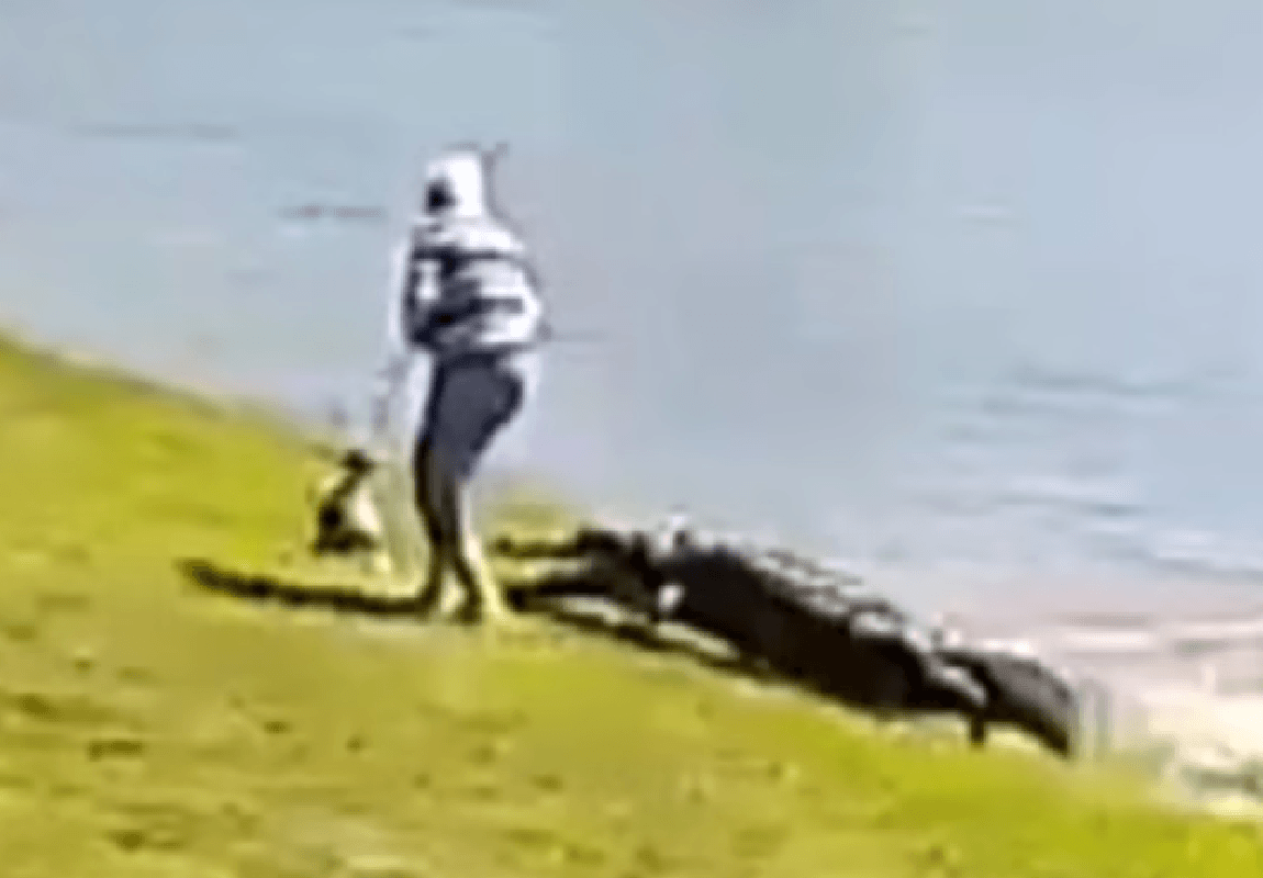 הותר לפרסום: תיעוד קשה של התקרית בה קשישה נהרגה מתקיפת תנין 