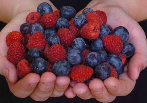 חמישה מזונות עשירים בנוגדי חמצון שכדאי לאכול על מנת לזכות במראה עור פנים טוב יותר 