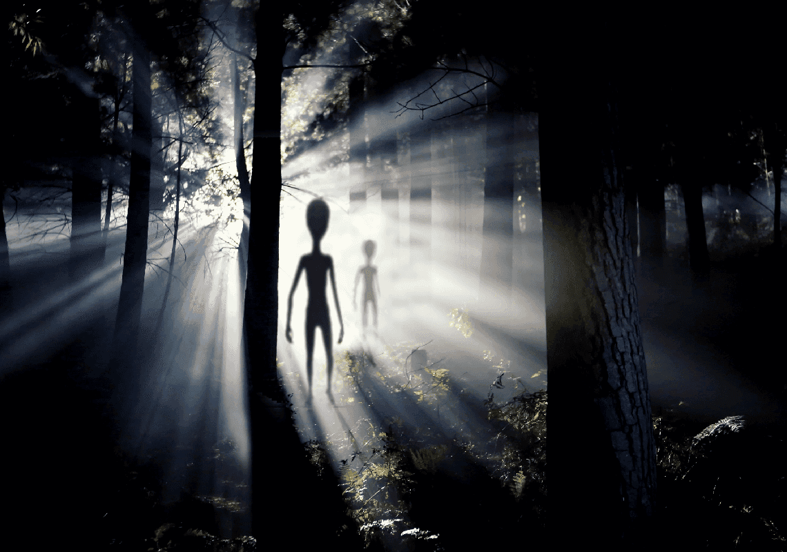 רק אילון מאסק יכול לענות בכנות: האם יש חייזרים בעולם?