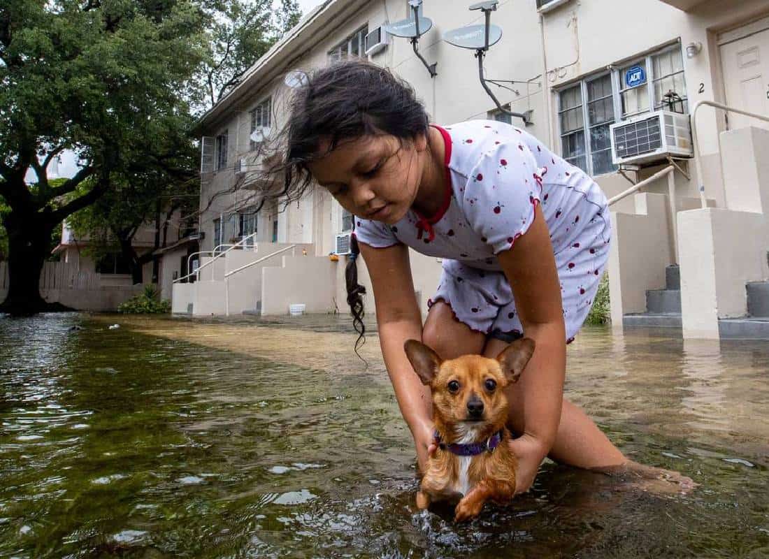 הסוד השמור של פלורידה: איך היסטוריית הצפות נסתרת עולה לרוכשי בתים במיליונים