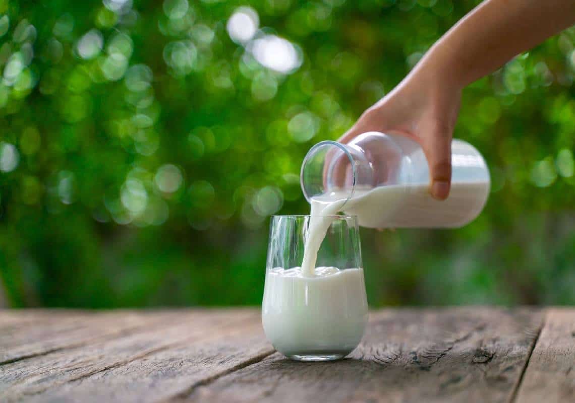 בריא או לא בריא? מחקר עדכני על חלב ומוצריו חושף את התשובה הסופית